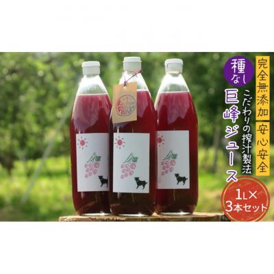 ふるさと納税 山ノ内町 完全無添加・安心安全・こだわりの搾汁製法 種なし巨峰ジュース 3本セット