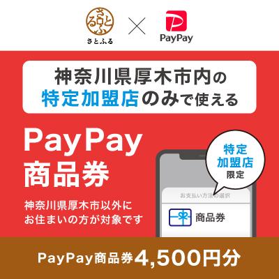 ふるさと納税 厚木市 神奈川県厚木市 PayPay商品券(4,500円分)※地域内の一部の加盟店のみで利用可