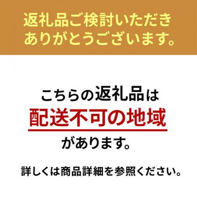 ふるさと納税 大河原町 大型冷蔵庫 453L IRGN-45A-W ホワイト 冷蔵庫 大型 両開き6ドア[53751925]_1