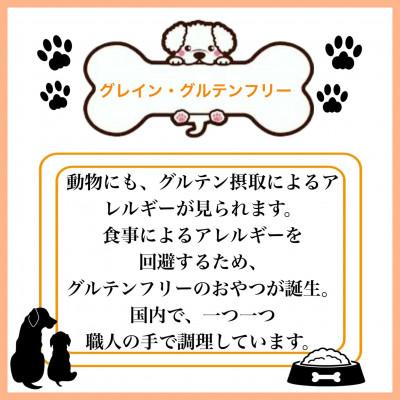 ふるさと納税 泉南市 ペットフード研究所 国産無添加 鹿スジジャーキー500gの画像