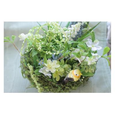 ふるさと納税 北上市 空気を浄化する 木洩れ日