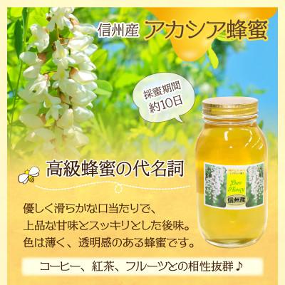ふるさと納税 岡谷市 信州産蜂蜜ペアセット(アカシア・百花 各