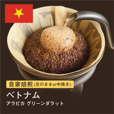 ふるさと納税 堺市 [豆]#172 ベトナム アラビカ グリーンダラット コーヒー豆 310g