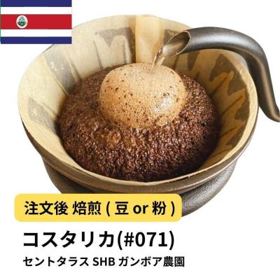 ふるさと納税 堺市 [粉]コーヒー #071 コスタリカ セントタラス SHB ガンボア農園 310g