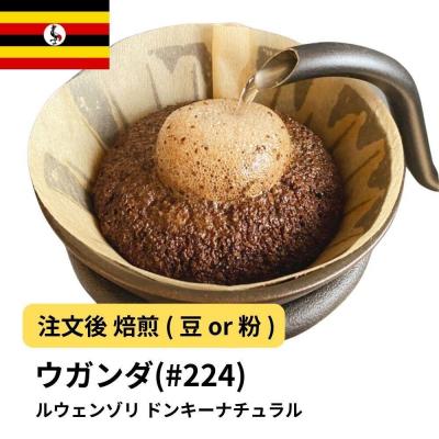 ふるさと納税 堺市 [粉]コーヒー #224 ウガンダ ルウェンゾリ ドンキーナチュラル 310g