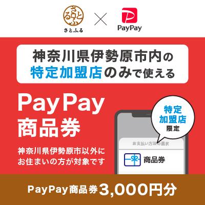 ふるさと納税 伊勢原市 神奈川県伊勢原市 PayPay商品券(3,000円分)※地域内の一部の加盟店のみで利用可
