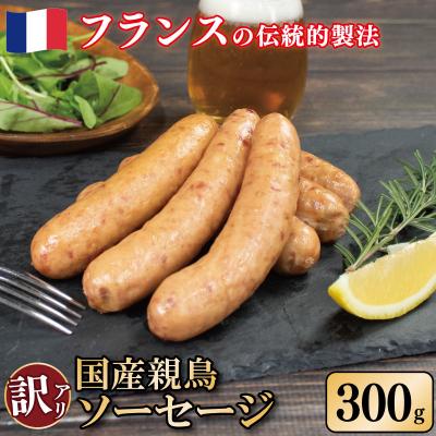 ふるさと納税 吉野川市 訳あり国産親鳥ソーセージ 300g 極太