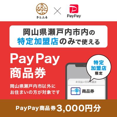 ふるさと納税 瀬戸内市 岡山県瀬戸内市 PayPay商品券(3,000円分)※地域内の一部の加盟店のみで利用可