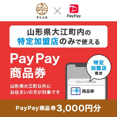 ふるさと納税 大江町 山形県大江町 PayPay商品券(3,000円分)※地域内の一部の加盟店のみで利用可