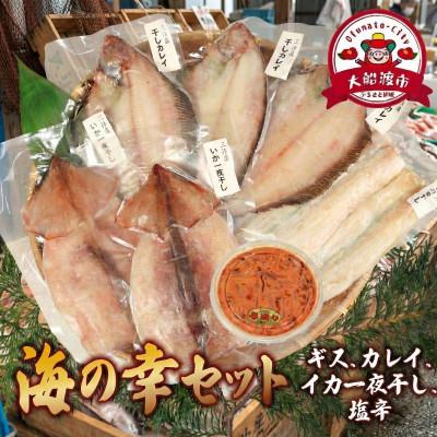 ふるさと納税 大船渡市 海の幸セット