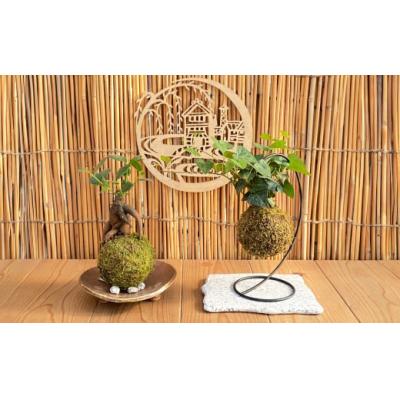 ふるさと納税 倉敷市 [苔玉づくり]ペア体験チケット(2個ずつ制作) 倉敷グリーンファーム