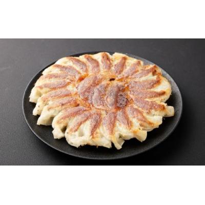 ふるさと納税 倉敷市 倉敷ぎょうざ本舗 倉敷ぎょうざ 80個 20ヶ入×4パック タレ付き