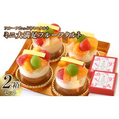 ふるさと納税 倉敷市 ミニ大満足フルーツタルト 4個入り×2セット