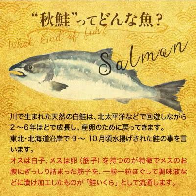 ふるさと納税 羅臼町 北海道産 いくら(鮭卵)醤油漬 200gの画像