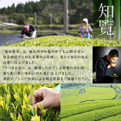 ふるさと納税 南九州市 奥知覧茶と鹿児島茶 特上煎茶仕かける