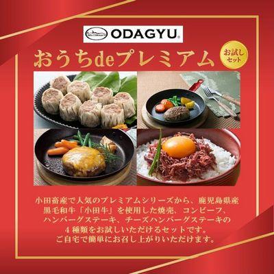 ふるさと納税 南九州市 小田牛の「おうちdeプレミアム」お試し セット