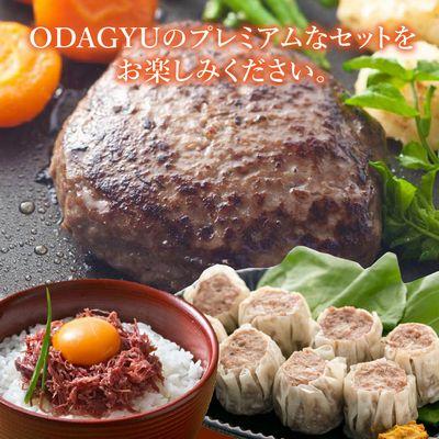 ふるさと納税 南九州市 小田牛の「おうちdeプレミアム」お試し セット