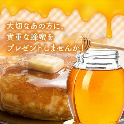 ふるさと納税 南九州市 国産レンゲ蜂蜜600gの画像