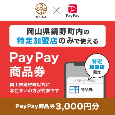 ふるさと納税 鏡野町 岡山県鏡野町 PayPay商品券(3,000円分)※地域内の一部の加盟店のみで利用可