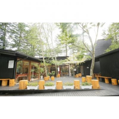 ふるさと納税 軽井沢町 トラットリア プリモお食事引換券【ピッツァ マルゲリータ】 [54130045]_2