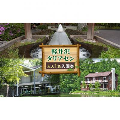 ふるさと納税 軽井沢町 軽井沢タリアセン 大人1名 入園券 