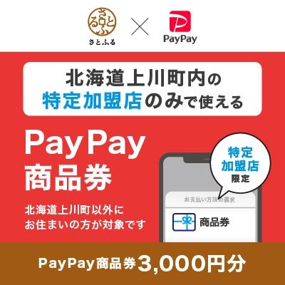 ふるさと納税 上川町 北海道上川町 PayPay商品券(3,000円分)※地域内の一部の加盟店のみで利用可