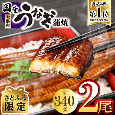 ふるさと納税 うなぎ 鹿屋市 [さとふる限定]鹿児島県大隅産うなぎ蒲焼2尾(計340g)