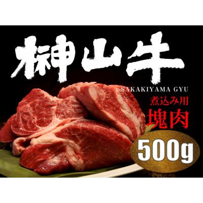 ふるさと納税 広島市 [訳アリ]超希少黒毛和牛「榊山牛」煮込み用ブロック肉500g[ER002]