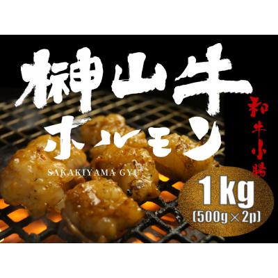 ふるさと納税 広島市 超希少和牛「榊山牛」ホルモン(小腸)焼肉・もつ鍋用 1kg[ER003]