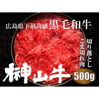 ふるさと納税 広島市 [訳あり]希少黒毛和牛「榊山牛」こま切れ肉500g(250g×2)[ER005]