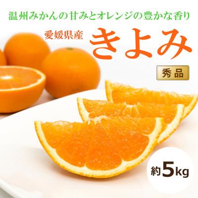ふるさと納税 松山市 [2027年3月中旬頃から発送予定]きよみ<秀品>約5kg