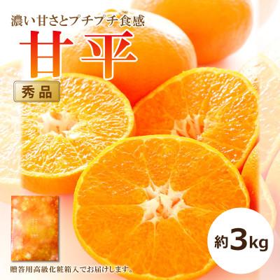 ふるさと納税 松山市 [2027年1月中旬頃から発送予定]甘平(かんぺい)<秀品>約3kg[贈答用化粧箱入り]