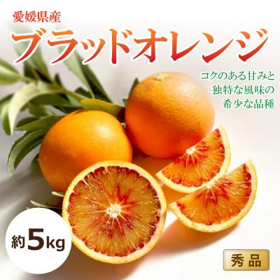 ふるさと納税 松山市 [2027年3月中旬頃から発送予定]ブラッドオレンジ<秀品>約5kg