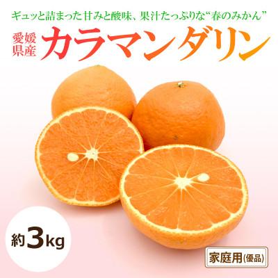 ふるさと納税 松山市 [2027年4月上旬頃から発送予定]カラマンダリン<家庭用・優品>約3kg