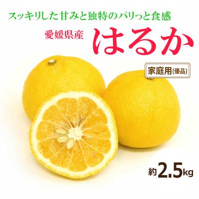 ふるさと納税 松山市 [2027年2月中旬頃から発送予定]はるか<優品>約2.5kg