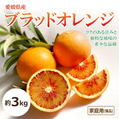 ふるさと納税 松山市 [2027年3月中旬頃から発送予定]ブラッドオレンジ<家庭用・優品>約3kg