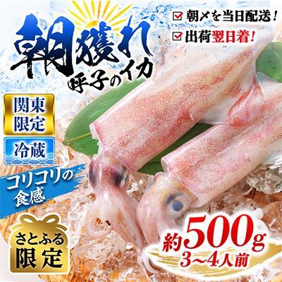 ふるさと納税 唐津市 [関東限定]鮮度抜群!呼子の朝獲れイカ 約500g(3〜4人前)[さとふる限定]