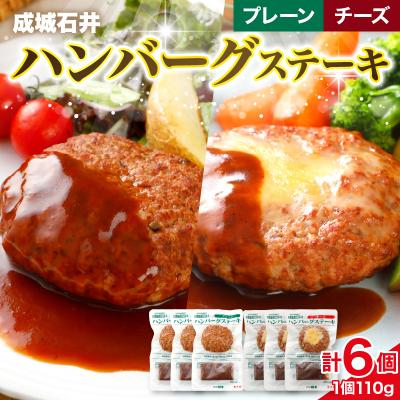 ふるさと納税 市原市 成城石井 ハンバーグステーキ プレーン&amp;チーズ 6個セット