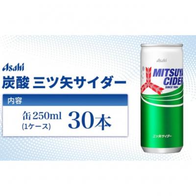ふるさと納税 明石市 炭酸 三ツ矢サイダー 250ml × 30本 ( 1ケース ) 