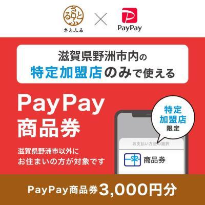 ふるさと納税 野洲市 滋賀県野洲市 PayPay商品券(3,000円分)※地域内の一部の加盟店のみで利用可