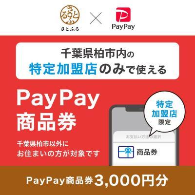 ふるさと納税 柏市 千葉県柏市 PayPay商品券(3,000円分)※地域内の一部の加盟店のみで利用可