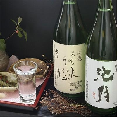 ふるさと納税 中能登町 [鳥屋酒造]「吟醸みなもにうかぶ月(720ml)」と「純米酒 池月(720ml)」飲み比べセット