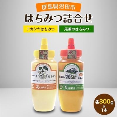 ふるさと納税 沼田市 はちみつ詰合せ(アカシヤはちみつ・尾瀬のはちみつ)
