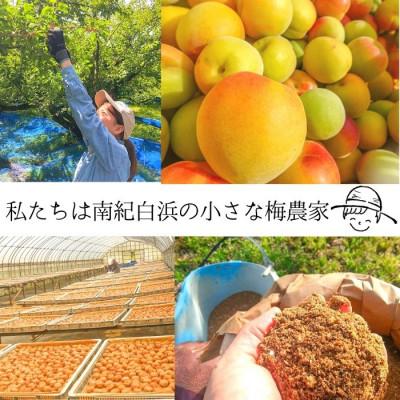 ふるさと納税 白浜町 【梅農家手づくり梅干】【紀州南高梅】”ぽってり”はちみつ味梅(400g)/紀州小阪農園｜y-sf｜03