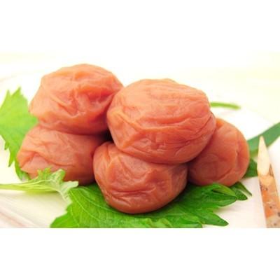 直売純正品 上富田町 ふるさと納税 紀の里食品 徳用 りんご梅 1 8kg 価格セール Www Swinggates Com