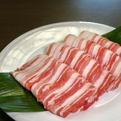 ふるさと納税 京丹波町 京丹波高原豚の豚バラ スライス　1kg