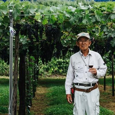 超目玉 12月 ビー玉入り サンガリア かわいいラムネ 260mlペットボトル 24本入 Babylonrooftop Com Au