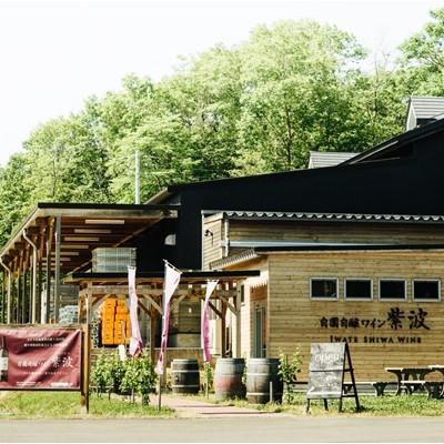 超目玉 12月 ビー玉入り サンガリア かわいいラムネ 260mlペットボトル 24本入 Babylonrooftop Com Au