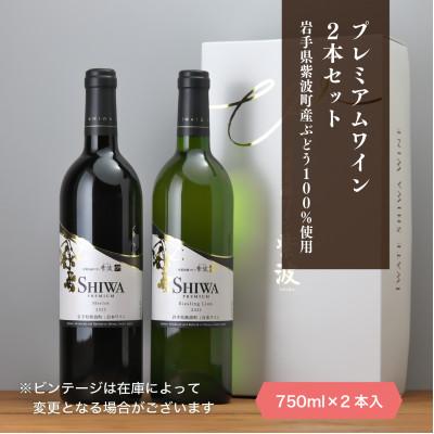 ふるさと納税 紫波町 自園自醸ワイン紫波 プレミアムワイン2本セット