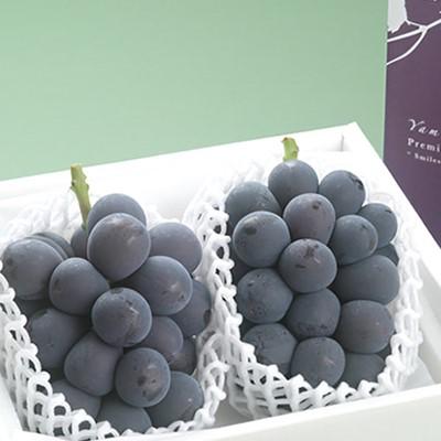 保存版 山梨県 ふるさと納税 葡萄の産地 山梨より直送 特選 巨峰 種なし 2房 コンビニ受取対応商品 Www Eghradio Com